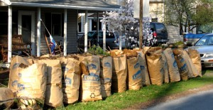 spring cleanup services montgomery county pa
